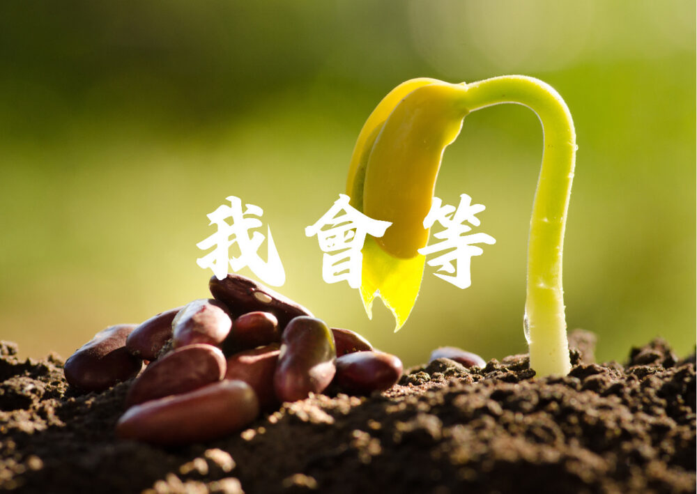 《我會等》歌譜（預購）